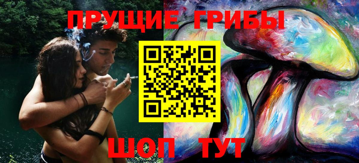 Галлюциногенные грибы Psilocybe  Галлюциногенные грибы мицелий  Алексин  Вход с VPN 